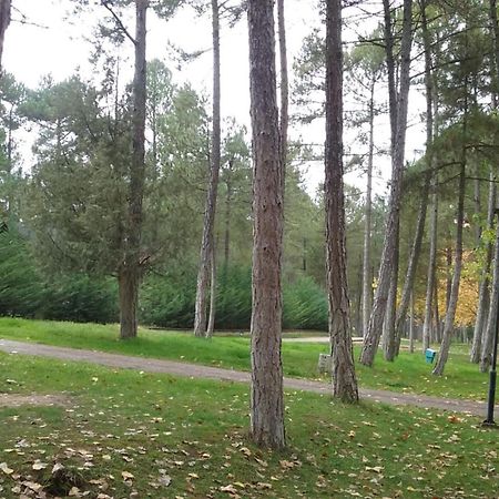 Camping Caravaning Cuenca Cuenca  Exterior photo