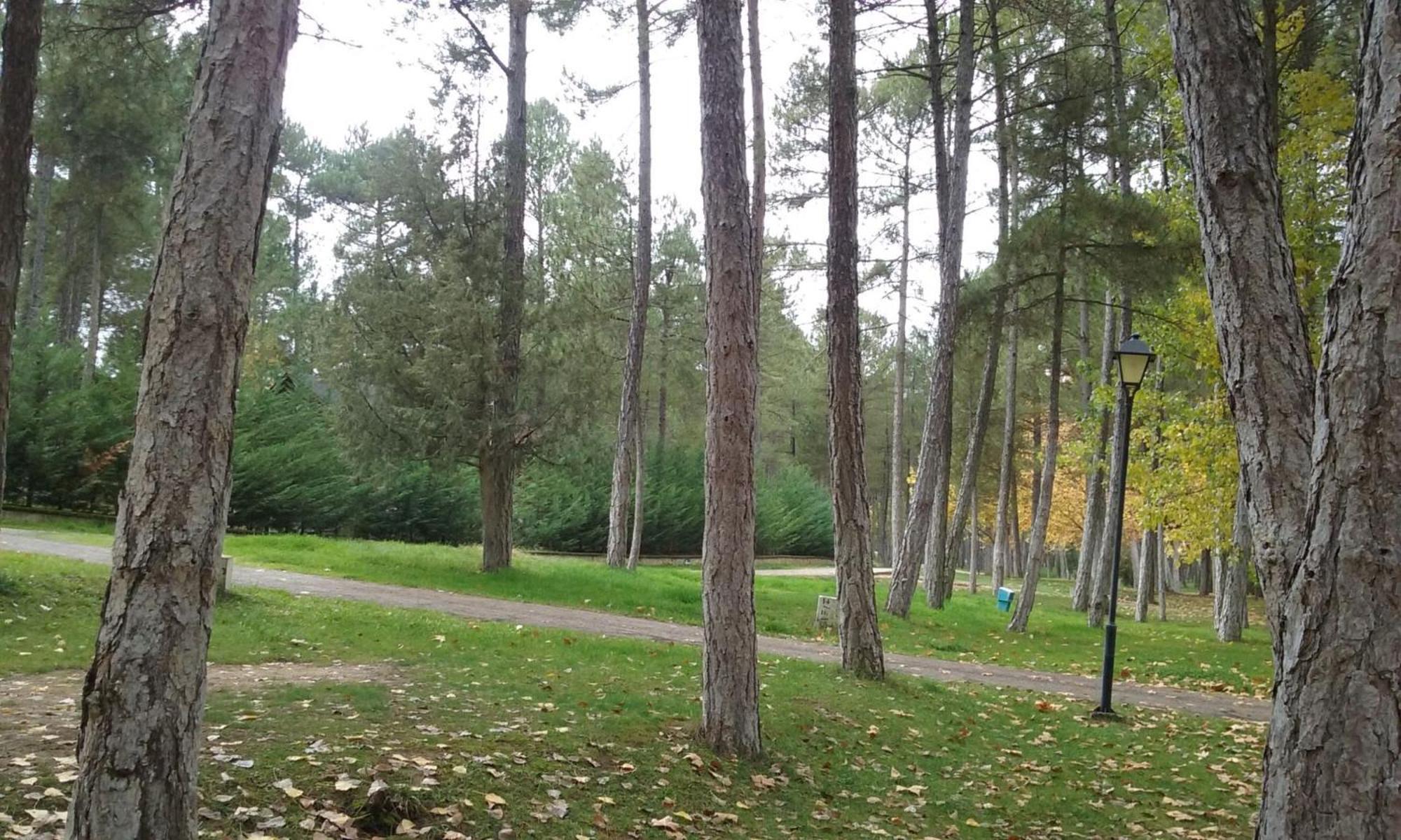 Camping Caravaning Cuenca Cuenca  Exterior photo